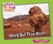 Weird But True Rocks by Carmen Bredeson, 9780766038646