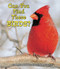 Can You Find These Birds? by Carmen Bredeson, Lindsey Cousins, 9780766039773