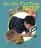 Can You Find These Rocks? by Carmen Bredeson, Lindsey Cousins, 9780766039797