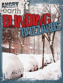 Blinding Blizzards by Michael Portman, 9781433965296