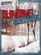Blinding Blizzards by Michael Portman, 9781433965296