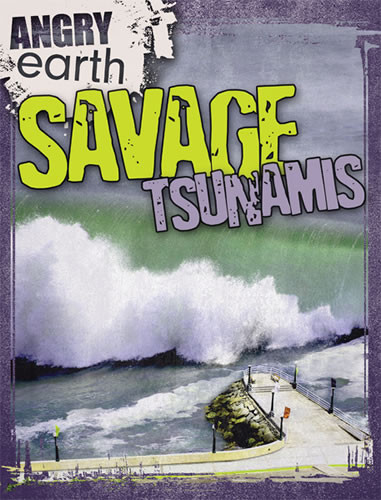 Savage Tsunamis by Michael Portman, 9781433965494