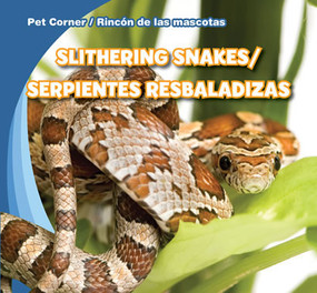 Slithering Snakes / Serpientes resbaladizas (Bilingual Edition) by Rose Carraway, 9781433966453