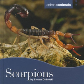 Scorpions - 9780761448785 by Steven Otfinoski, 9780761448785