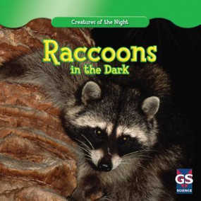 Raccoons in the Dark - 9781433963780 by Jack O'Mara, 9781433963780