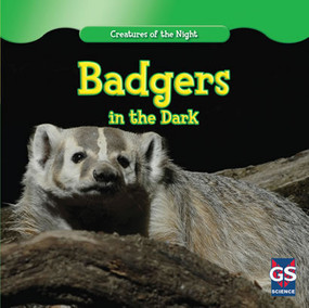 Badgers in the Dark - 9781433964800 by Sofia Maximus, 9781433964800