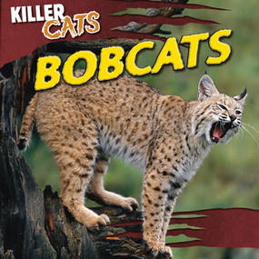 Bobcats - 9781433969959 by A. J. Grucella, 9781433969959