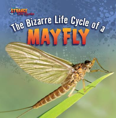 The Bizarre Life Cycle of a Mayfly - 9781433970528 by Greg Roza, 9781433970528