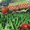 Gross Things About Your Food by Maria Nelson, 9781433971150