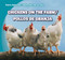 Chickens on the Farm / Pollos de granja (Bilingual Edition) by Rose Carraway, 9781433973949