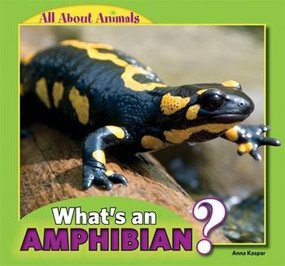 What's an Amphibian? by Anna Kaspar, 9781448861385