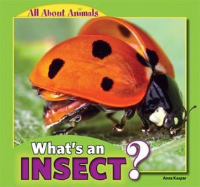 What's an Insect? by Anna Kaspar, 9781448861392
