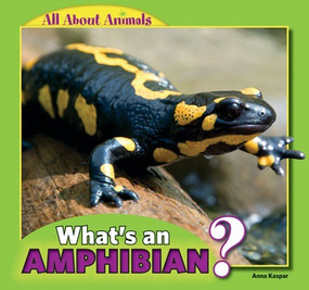 What's an Amphibian? - 9781448862344 by Anna Kaspar, 9781448862344