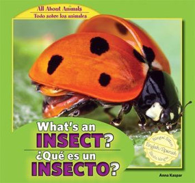 What's an Insect? / ¿Qué es un insecto? by Anna Kaspar, Eduardo Alamán, 9781448867042