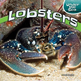 Lobsters - 9781448873968 by Meryl Magby, 9781448873968