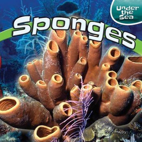 Sponges - 9781448873999 by Meryl Magby, 9781448873999