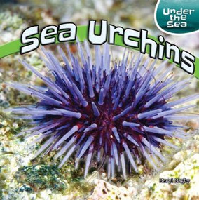 Sea Urchins - 9781448874002 by Meryl Magby, 9781448874002