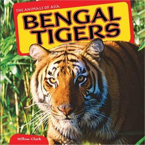 Bengal Tigers by Willow Clark, 9781448874170