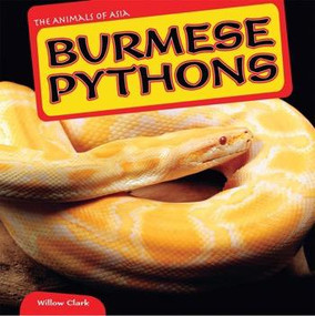 Burmese Pythons by Willow Clark, 9781448874187