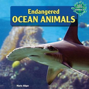 Endangered Ocean Animals by Marie Allgor, 9781448874200
