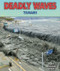 Deadly Waves (Tsunamis) by Mary Dodson Wade, 9780766040182