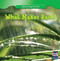 What Makes Rain? by Annmarie Wilson, 9781433981708