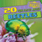 20 Fun Facts About Beetles - 9781433982262 by Arielle Chiger, 9781433982262