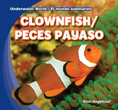 Clownfish / Peces payaso (Bilingual Edition) by Ryan Nagelhout, 9781433987786