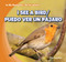 I See a Bird / Puedo ver un pájaro (Bilingual Edition) by Alex Appleby, 9781433987908