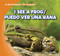 I See a Frog / Puedo ver una rana (Bilingual Edition) by Alex Appleby, 9781433987960