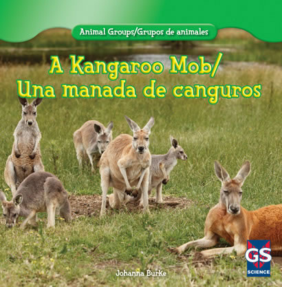 A Kangaroo Mob / Una manada de canguros by Juliet Burke, 9781433988042