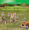 A Kangaroo Mob / Una manada de canguros by Juliet Burke, 9781433988042