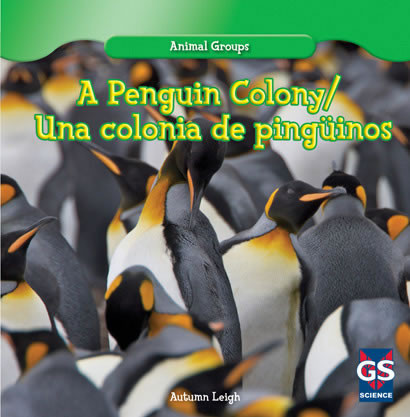 A Penguin Colony / Una colonia de Pingüinos by Autumn Leigh, 9781433988080