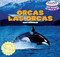 Orcas / Las orcas by Eduardo Alamán, Sam Drumlin, 9781448899753