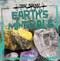 Earth's Minerals by Maria Nelson, 9781433983092