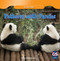 Patterns with Pandas by Bobby Kennedy Shea, 9781433993183