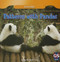 Patterns with Pandas - 9781433993190 by Bobby Kennedy Shea, 9781433993190