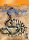 Sorting with Snakes - 9781433993299 by Mary Rose McDonnell, 9781433993299