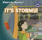 It's Stormy! - 9781433994050 by Alex Appleby, 9781433994050