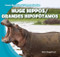 Huge Hippos / Grandes hipopótamos (Bilingual Edition) by Ryan Nagelhout, 9781433994401