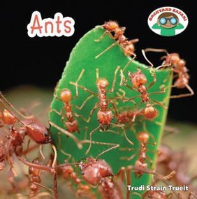 Ants - 9781608702404 by Trudi Strain Trueit, 9781608702404