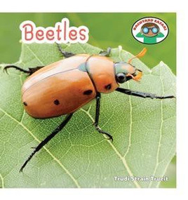 Beetles - 9781608702411 by Trudi Strain Trueit, 9781608702411