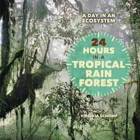 24 Hours in a Tropical Rain Forest by Virginia Schomp, 9781608708956