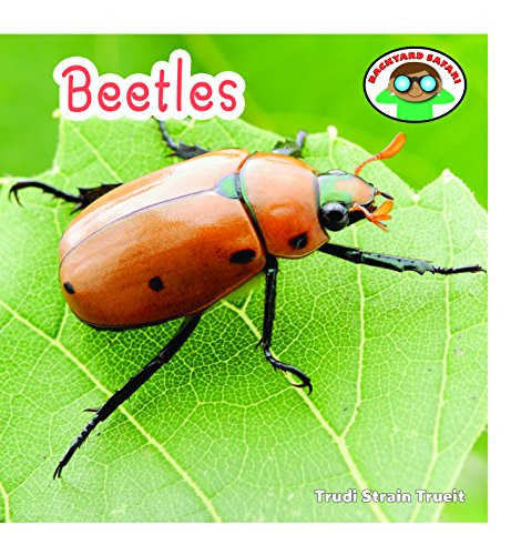 Beetles - 9781627120272 by Trudi Strain Trueit, 9781627120272