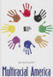 Multiracial America by Noah Berlatsky, Lynn M. Zott, 9780737766622