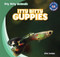 Itty Bitty Guppies - 9781433998843 by Alex Lumpy, 9781433998843