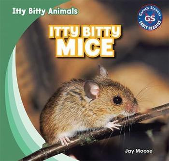 Itty Bitty Mice by Jay Moose, 9781433998904