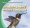 Colibríes pequeñitos / Itty Bitty Hummingbirds by Peter Griff, 9781433999093