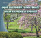 ¿Qué sucede en primavera? / What Happens in Spring? (Bilingual Edition) by Alex Appleby, 9781482401196