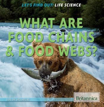 What Are Food Chains & Food Webs? - 9781622752362 by Louise Spilsbury, 9781622752362